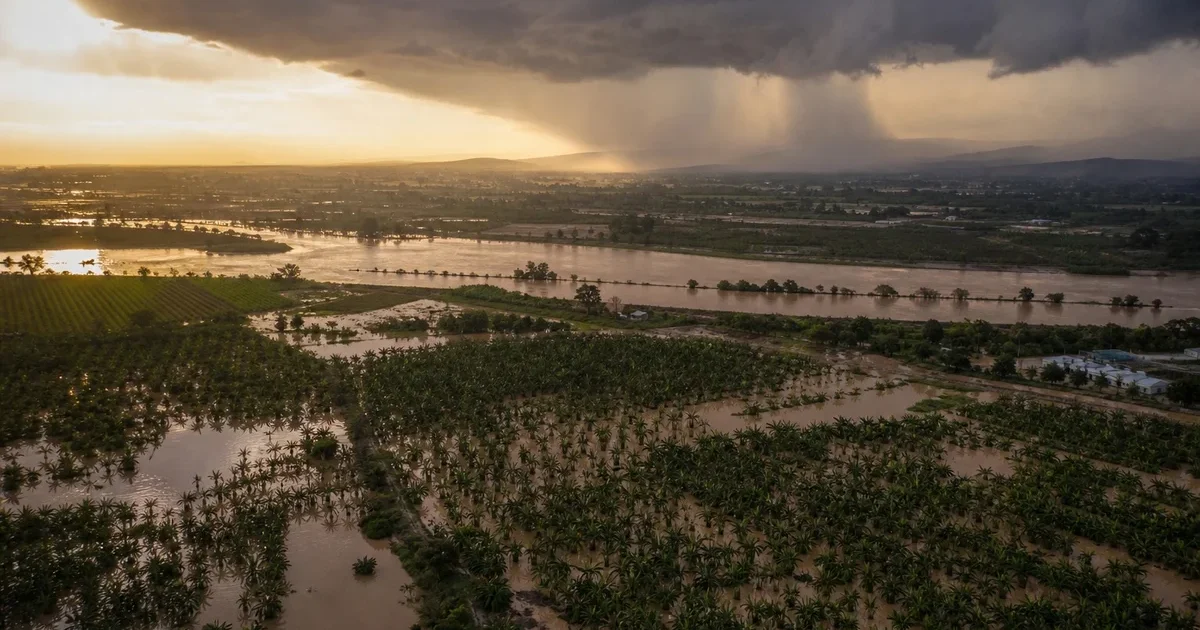 Vista aérea de campos agrícolas inundados en la región Costa de Ecuador durante el Fenómeno de El Niño