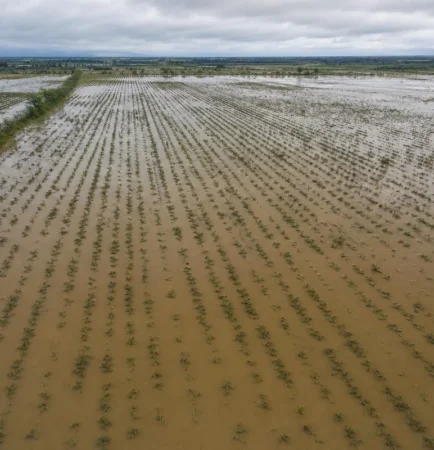 Vista aérea de un terreno agrícola inundado con cultivos bajo el agua