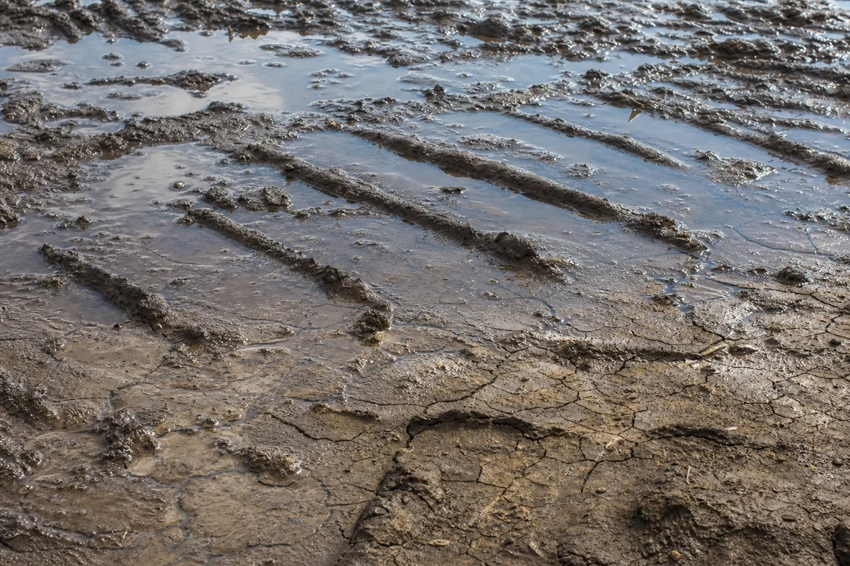 Suelo agrícola compactado y saturado impide infiltración del agua Suelo agrícola compactado con agua estancada en la superficie incapaz de infiltrarse